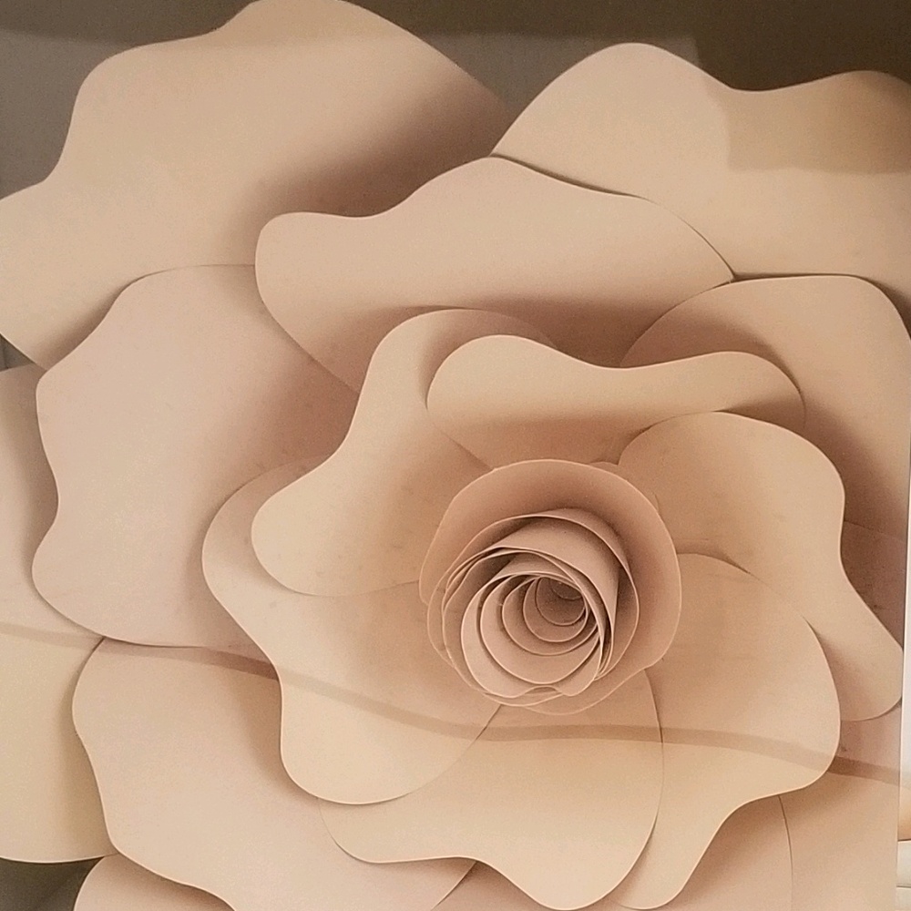 Meet your Posher, Chelsie